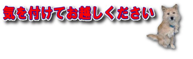 注意の写真
